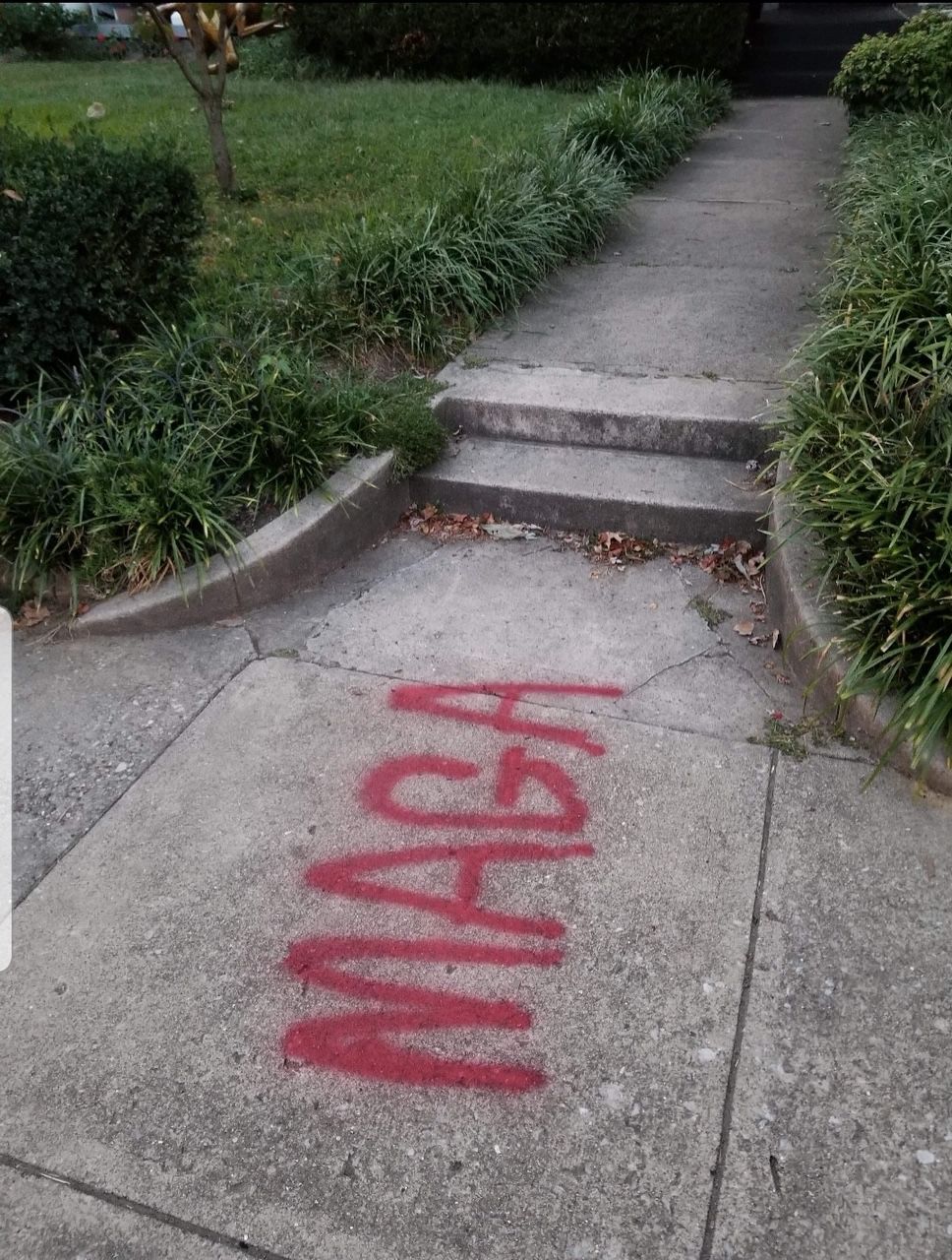 maga graffiti
